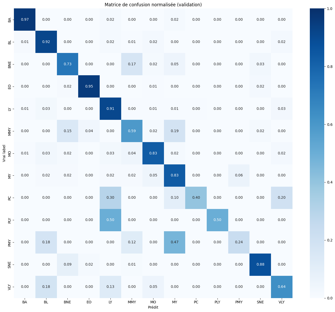 Optimization: Diagnosing and Fixing Overfitting