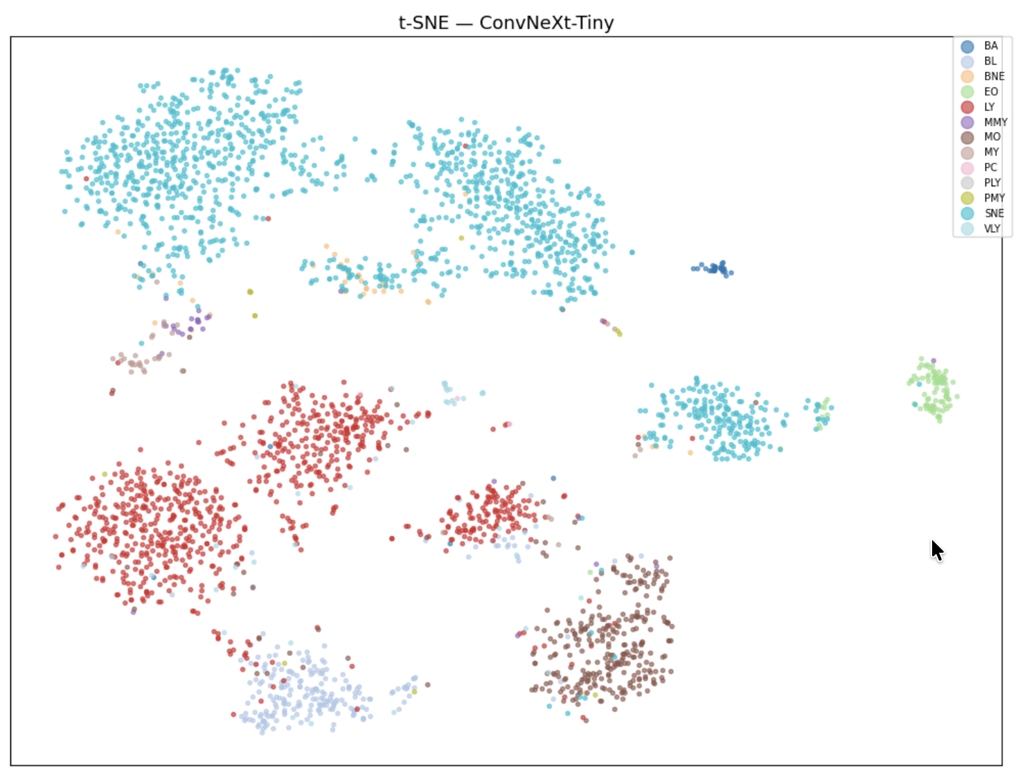 Deep Learning: From EfficientNet to ConvNeXt - 2
