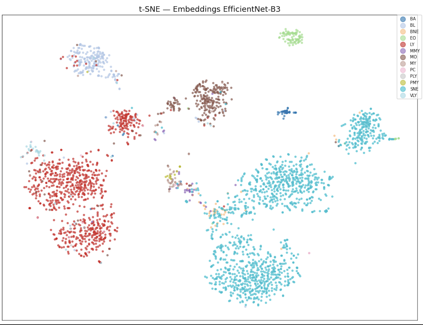 Deep Learning: From EfficientNet to ConvNeXt - 1