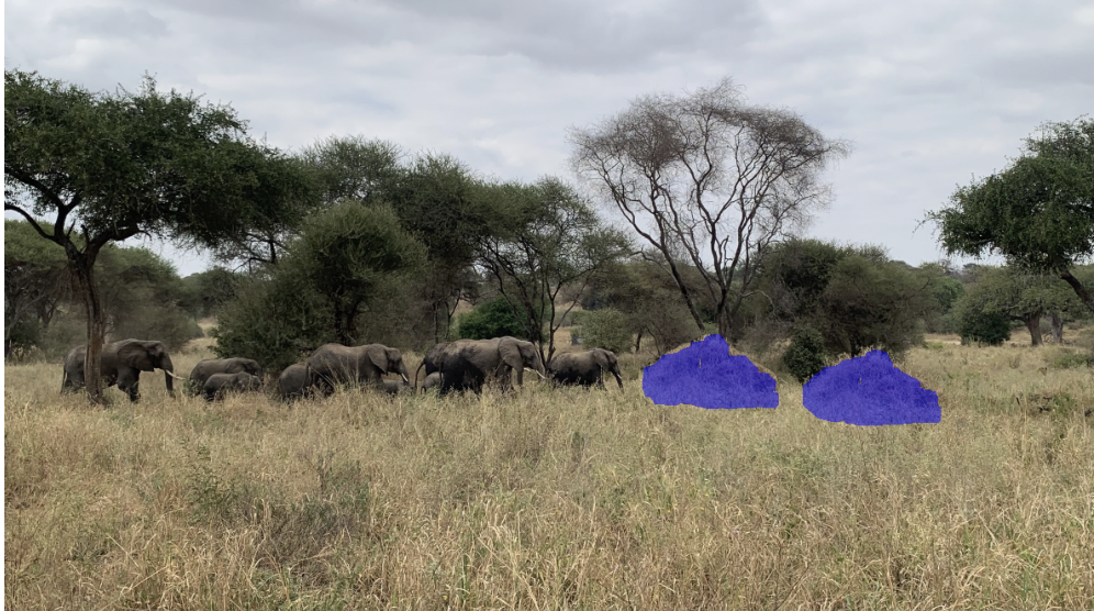 Copy-Move Forgery Detection